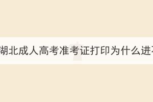 2023年湖北成人高考準考證打印為什么進不去？
